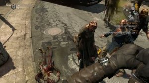 РЕДКОЕ ОРУЖИЕ в Dying Light