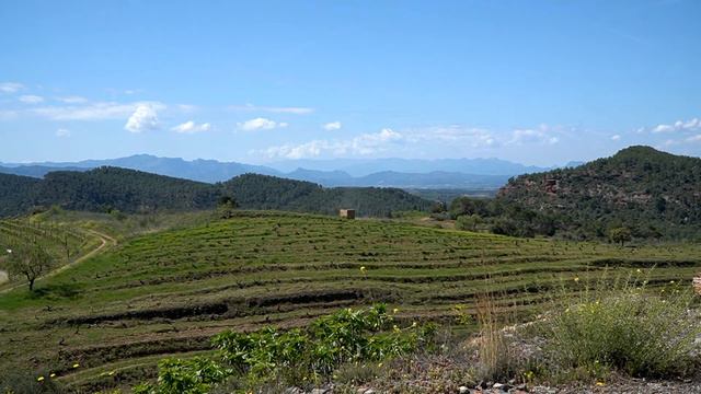 Visita al celler MAS D'EN GIL al Priorat смотреть онлайн