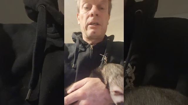 Ulfberht's illness and 4000 KM emergency vet visit. смотреть онлайн