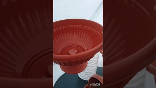 Какое кашпо выбрать для ампельной петунии смотреть онлайн
