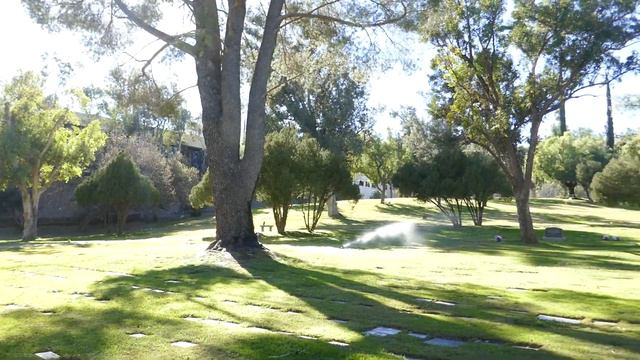 Rudolph Valentino's Doberman Dog Kabar Grave LA Pet Memorial Park Calabasas CA USA January 2021 смотреть онлайн