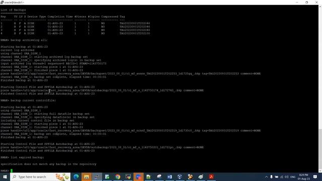 Oracle 19c RMAN backups Demo смотреть онлайн