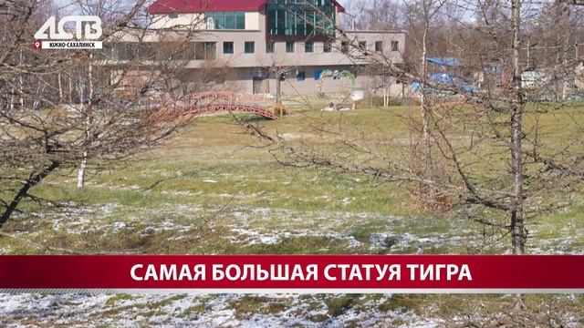 Самую большую статую тигра в России возвели на Сахалине смотреть онлайн
