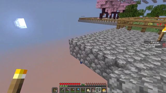 Przeprowadzka zwierząt #24 Minecraft Skyblock Infinite @Wojtusialke смотреть онлайн