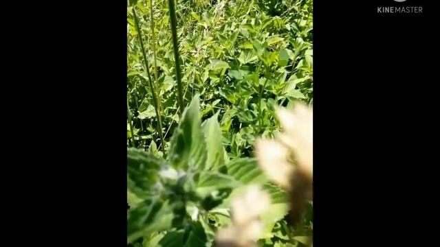 Аксессуары и Мода