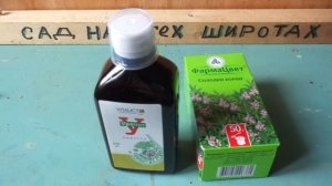 КАК РАСТВОРИТЬ КАМНИ В ПОЧКАХ за месяц