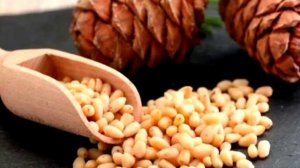 Основная ценность кедровых орехов. За что так любят кедровый орех?