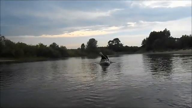 2017 Август Поход по реке Бердь с рыбалкой и ухой смотреть онлайн