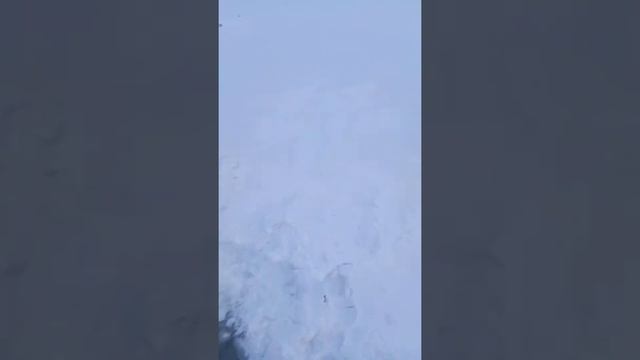 НАЛИМ начел ход (терь так можно и порыбачить). смотреть онлайн