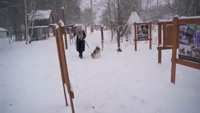 НИЖНИЙ НОВГОРОД | Путешествие в зимнюю сказку | Путешествия по России | Таня Мотаня смотреть онлайн