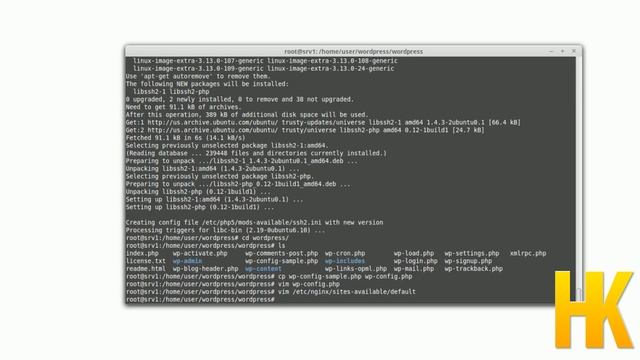 Server einrichten - Wordpress Server installieren смотреть онлайн