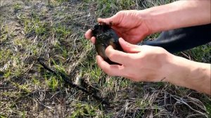 Как поймать пиявку! Быстро и просто. Беларусь.