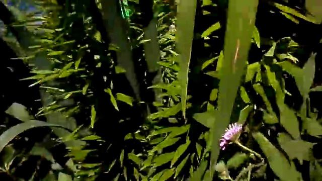 Наша Дача 2013 смотреть онлайн