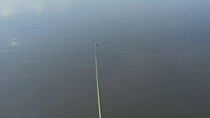 Рыбалка берег Черского Омск