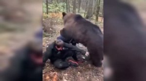 Мужики Дерутся с медведем, человек против медведя, охота на медведя, Животные, Медведь, Борьба???
