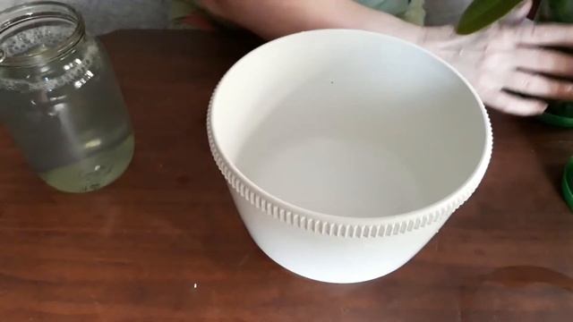 полив орхидей чесночной водой смотреть онлайн