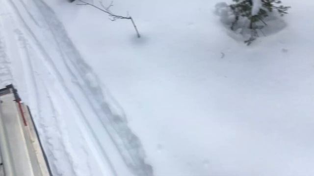 Logging with a 2014 Ski Doo Skandic SWT 600 ace