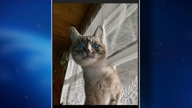 InterGroup Социальная сеть. смотреть онлайн