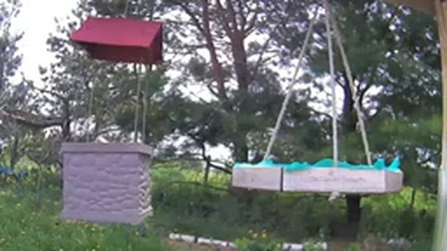 2021May 20 Livestream bird feeding station. Ripley, Ontario Canada by AtHomeFriendlyTecGuy смотреть онлайн