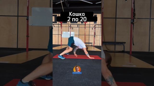 ТРЕНИРОВКА НА ПРЕСС БЕЗ СКРУЧИВАНИЙ смотреть онлайн