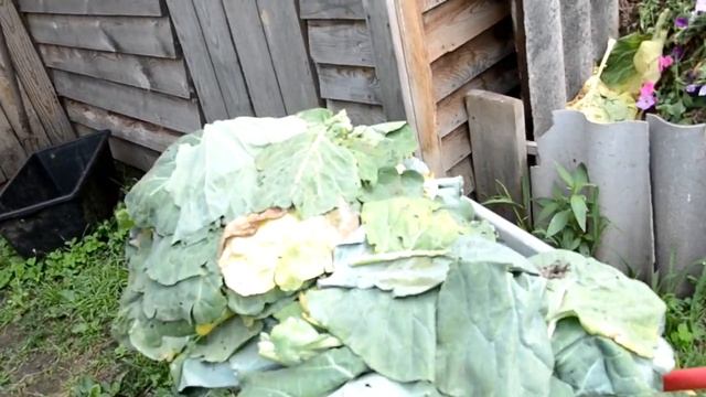 Большой VLOG // Мои заботы, пока сын гостит у бабушки // Горе-лесники снова в деле! смотреть онлайн