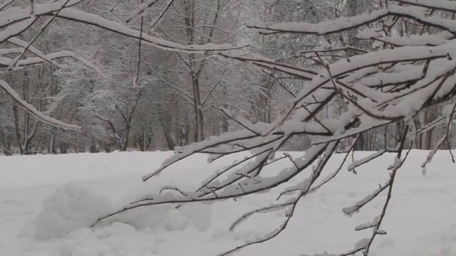 Зимний Валдай смотреть онлайн