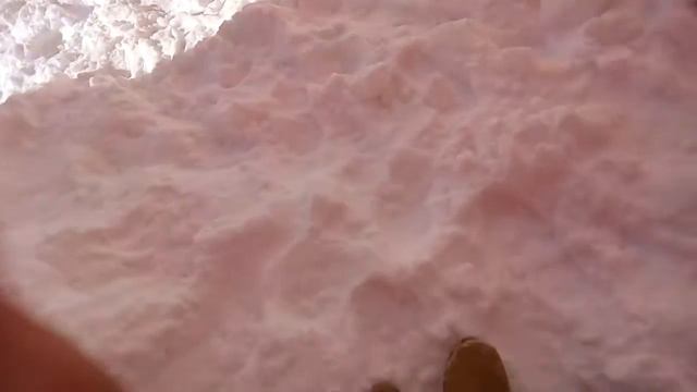 😿😿😿😿😿😿😿😿🐠👧 плачу из-за этого и навить а потому что потеряла пэта lgs смотреть онлайн