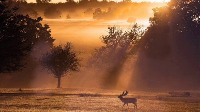 Za 15 Electro Freestyle Mix