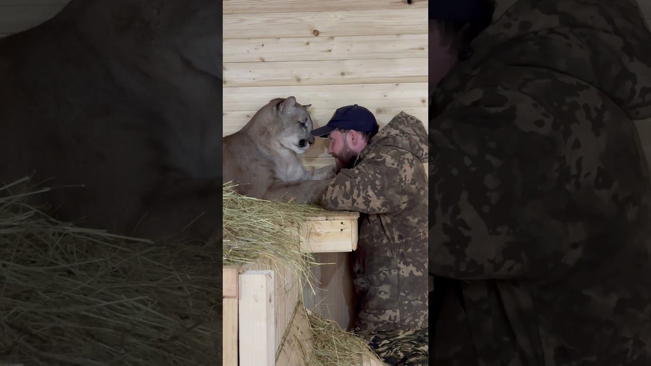 How gently the baby kisses his dad