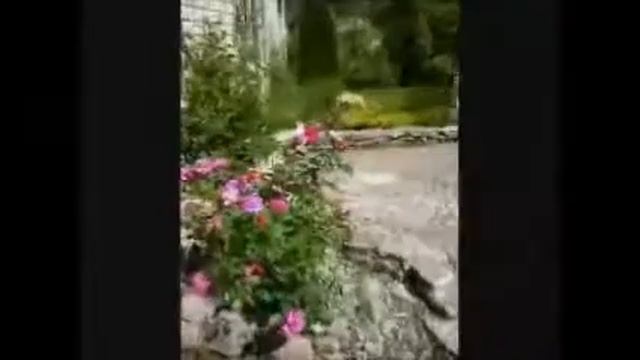 Красота Ландшафтного Дизайна смотреть онлайн