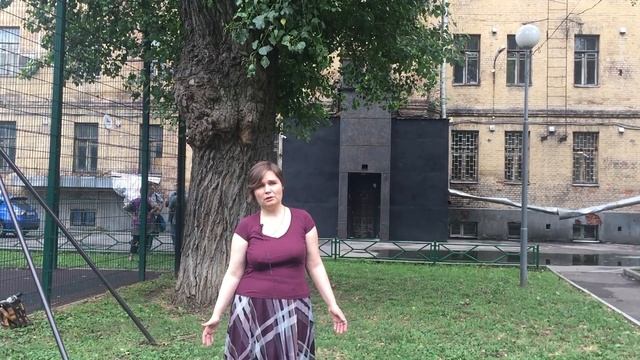 Александра Парушина - о ситуации вокруг дома Черникова смотреть онлайн