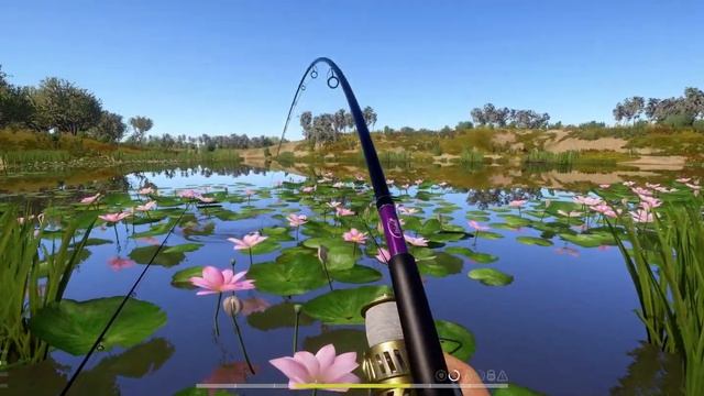 Буффало большеротый 15 кг смотреть онлайн