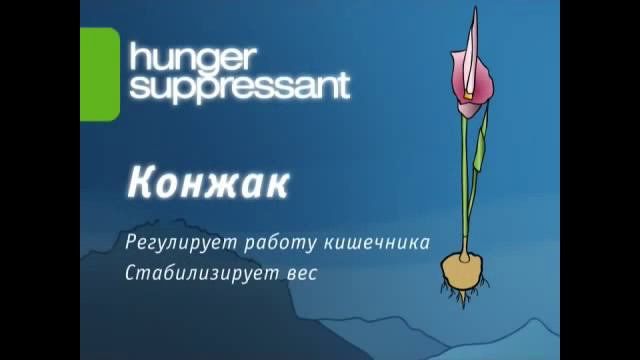 Рецепт стройности от Vision! Kg Off Абсорбер и Сапрессант смотреть онлайн