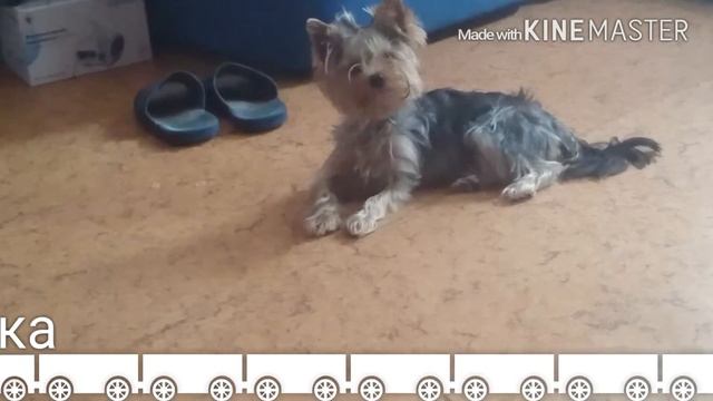 Мини видео с нами смотреть онлайн