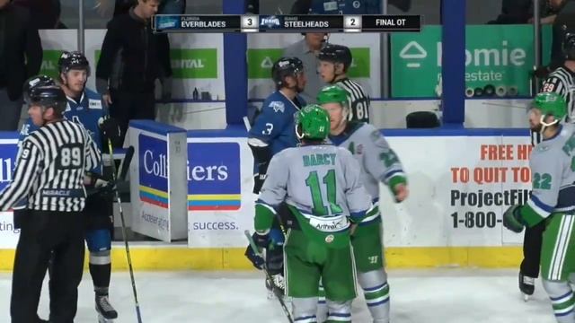 ECHL Kelly Cup Finals: Oliver Chau Scores OT Winner For Everblades, Tempers Flare After Goal смотреть онлайн