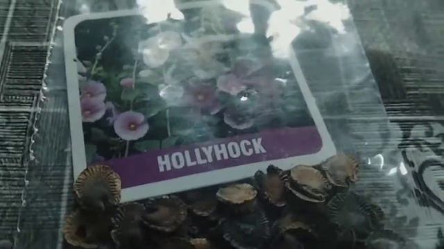 40 flower Seeds of winter in just 199/ flipkart seeds review/flipkart sale/40 different type of see смотреть онлайн