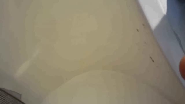 2000 Yamaha LS2000 tour смотреть онлайн