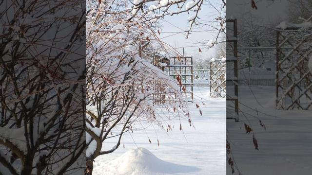 Там в саду при долине громко пел соловей. смотреть онлайн