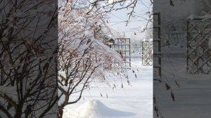 Там в саду при долине громко пел соловей.