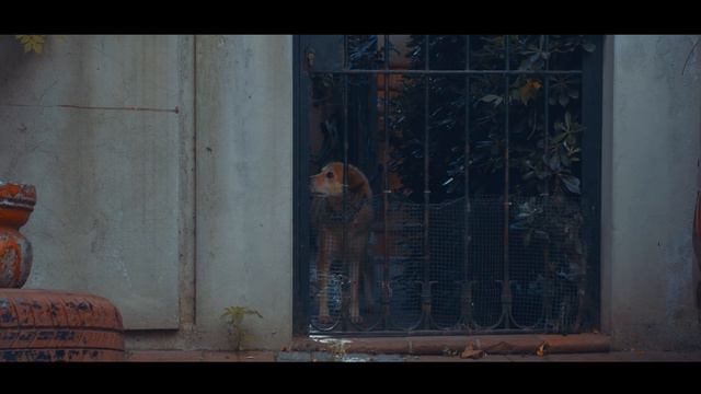 Istanbul: A Cinematic Journey Through the Heart of Turkey смотреть онлайн