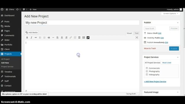 Setup Projects - Chitra WordPress Theme смотреть онлайн