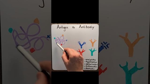 Antigens vs Antibodies in under 2 mins! смотреть онлайн