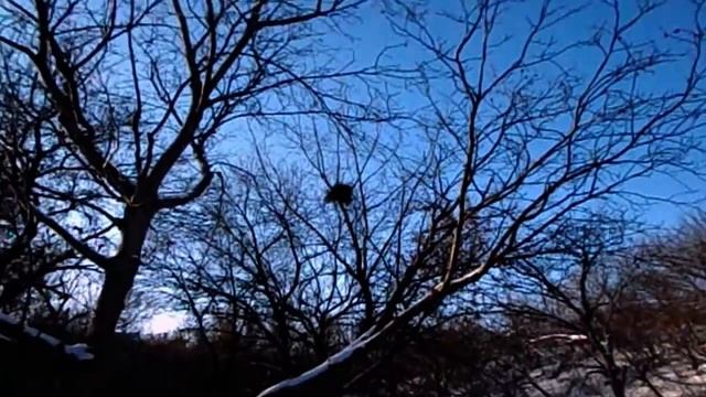 САМВЕЛ ХОЗЯИН НА ИГРЕНИ. У САМВЕЛА ЗАРПЛАТА БОЛЬШЕ ЧЕМ У ПРЕМЬЕР- МИНИСТРА смотреть онлайн