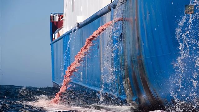 КАК ЧАСТО АКУЛЫ НАПАДАЮТ НА ЛЮДЕЙ В ЕГИПТЕ? смотреть онлайн