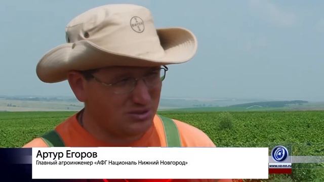 «АФГ Националь» готовится получить первый урожай овощей в Нижегородской области смотреть онлайн