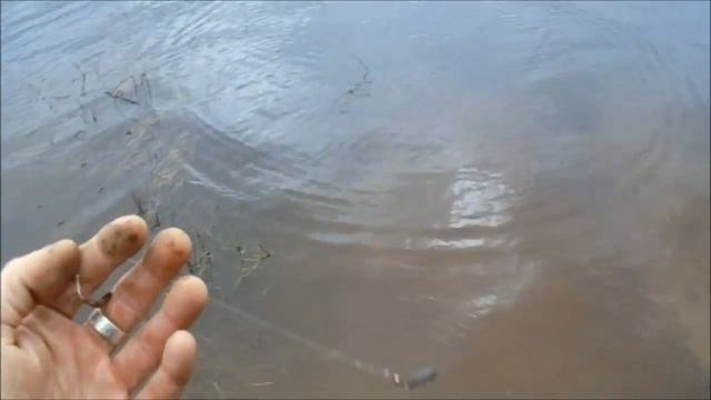 Наловил ОКУНЯ и ГОЛАВЛЯ на удочку. Рыбалка на ПОПЛАВОК летом смотреть онлайн