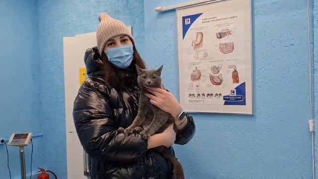 Данилова Ирина Сергеевна и кот Лаки. Ветклиника Сытая Морда