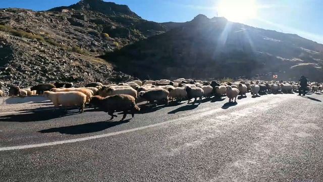 Авто путешествие по Турции Трабзон и Каппадокия уличная еда 1 серия смотреть онлайн