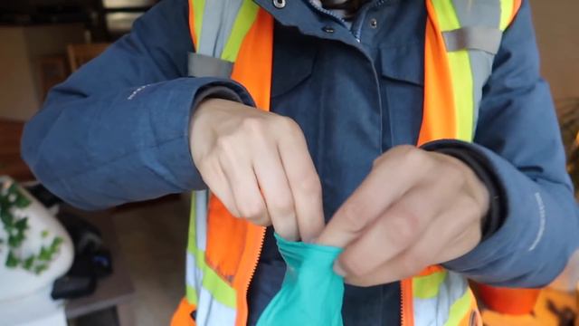 What do you need to wear & carry as a BIOLOGIST? (Northern climate) смотреть онлайн