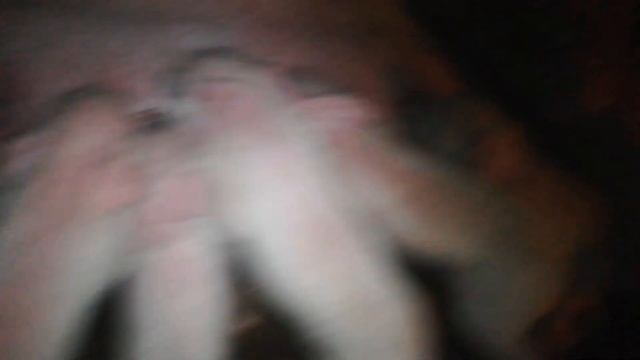 Опорос у свиньи прошёл легко